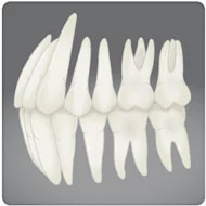 prótese fixa dentária