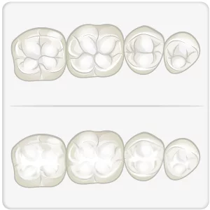 selante dentário